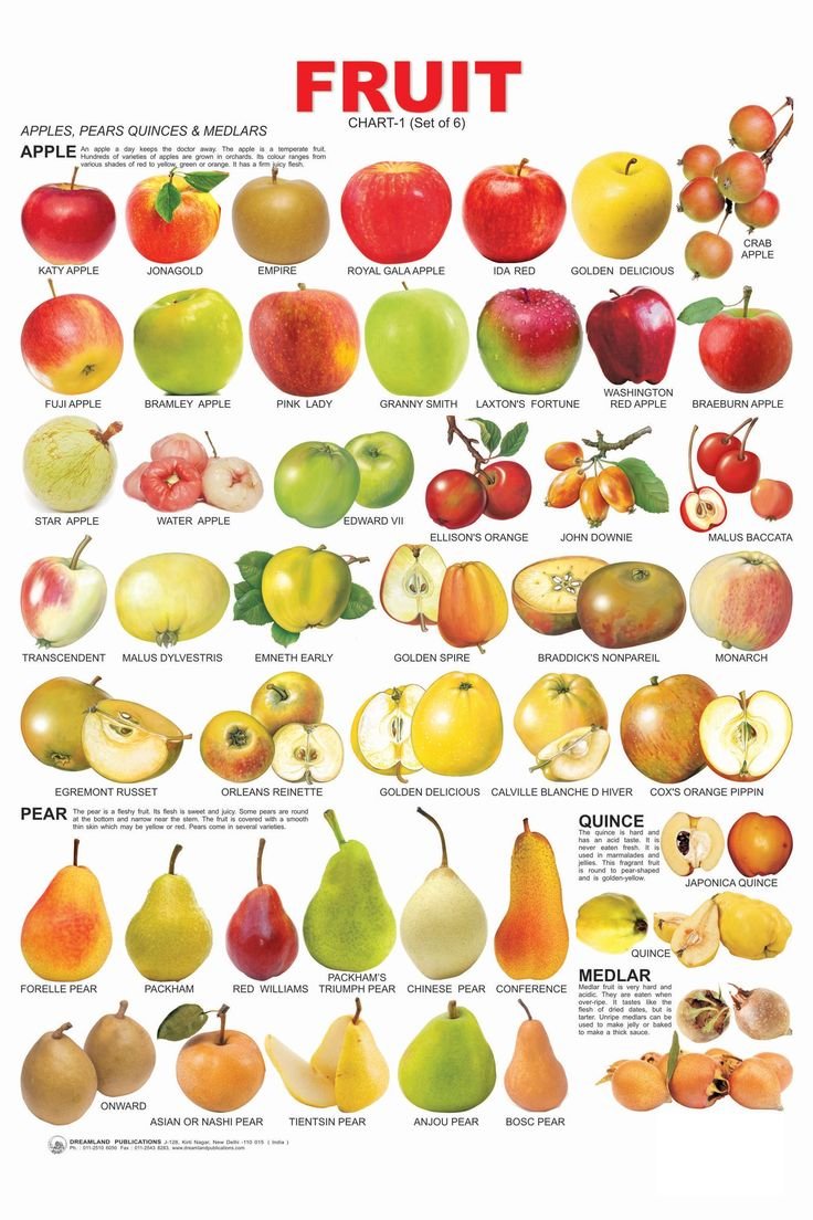 Названия фруктов и ягод на английском