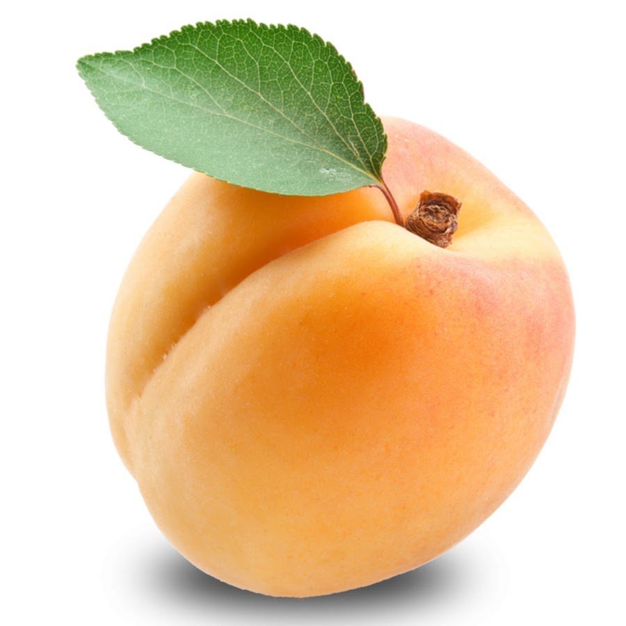 Костянка абрикоса