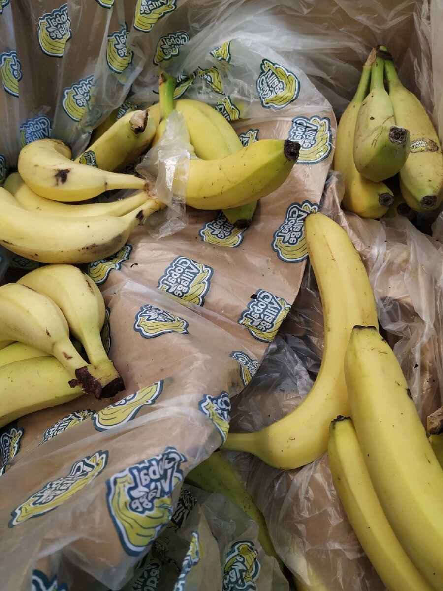Глобал Вилладж бананы