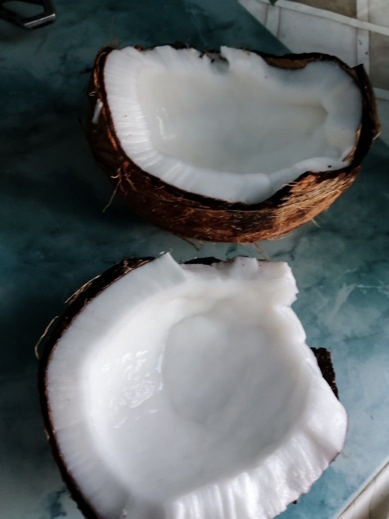 Эстетика кокосов