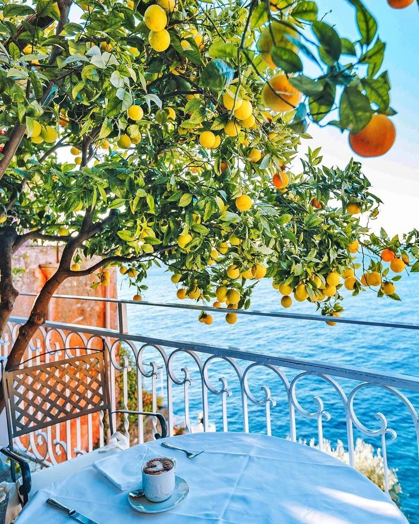 Амальфитанское побережье лимоны