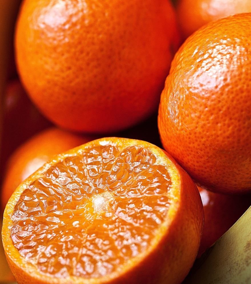 Цитрусовые апельсин мандарин и
