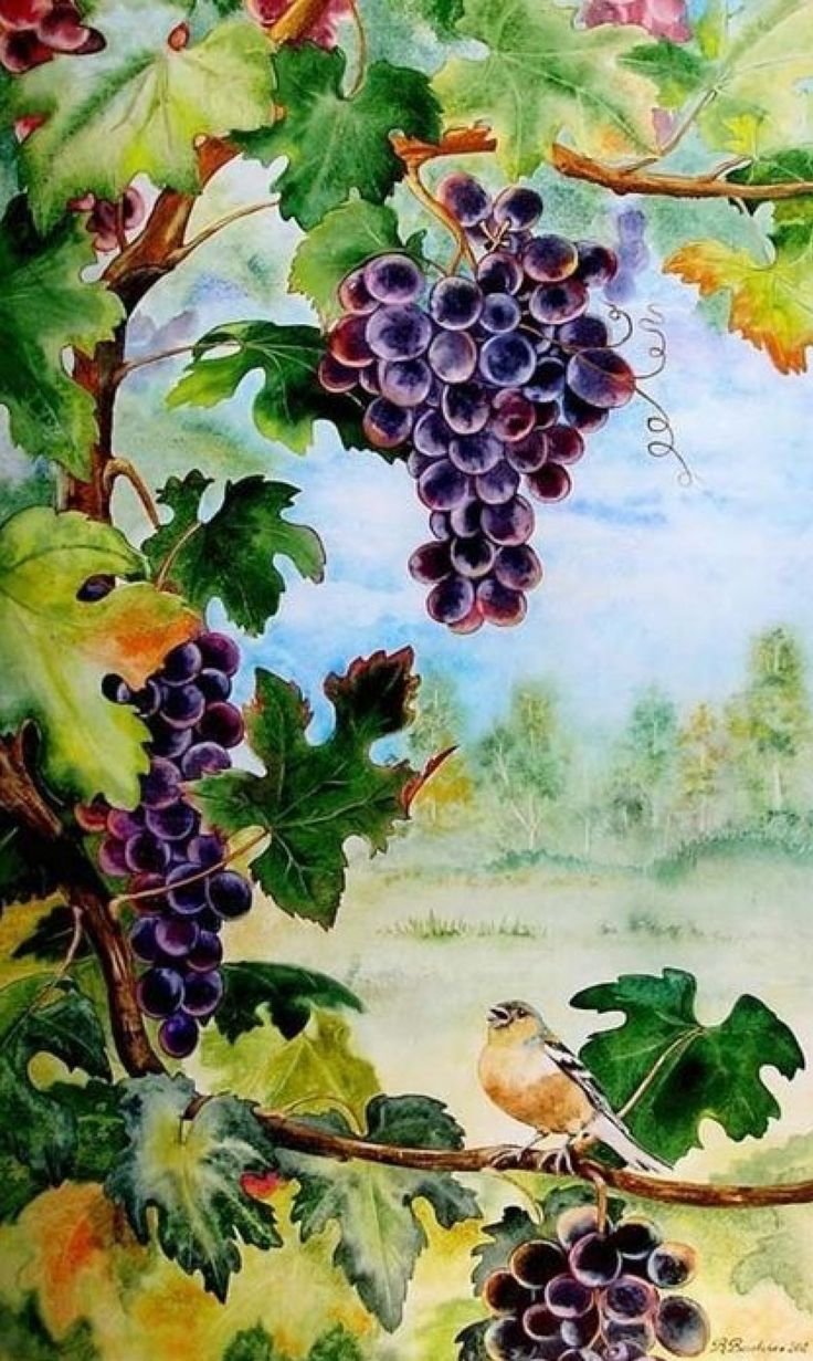 Андрияка художник картины винограда акварелью