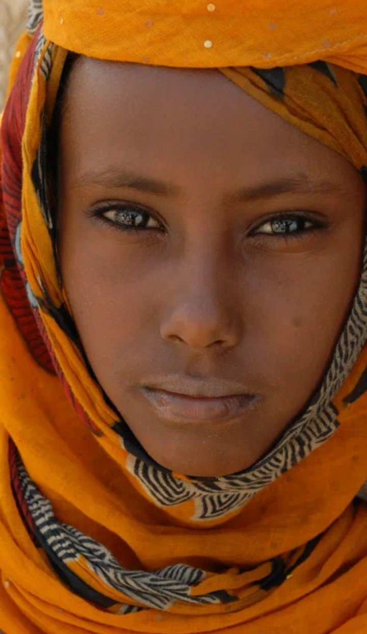 Туареги сомалийцы бушмены