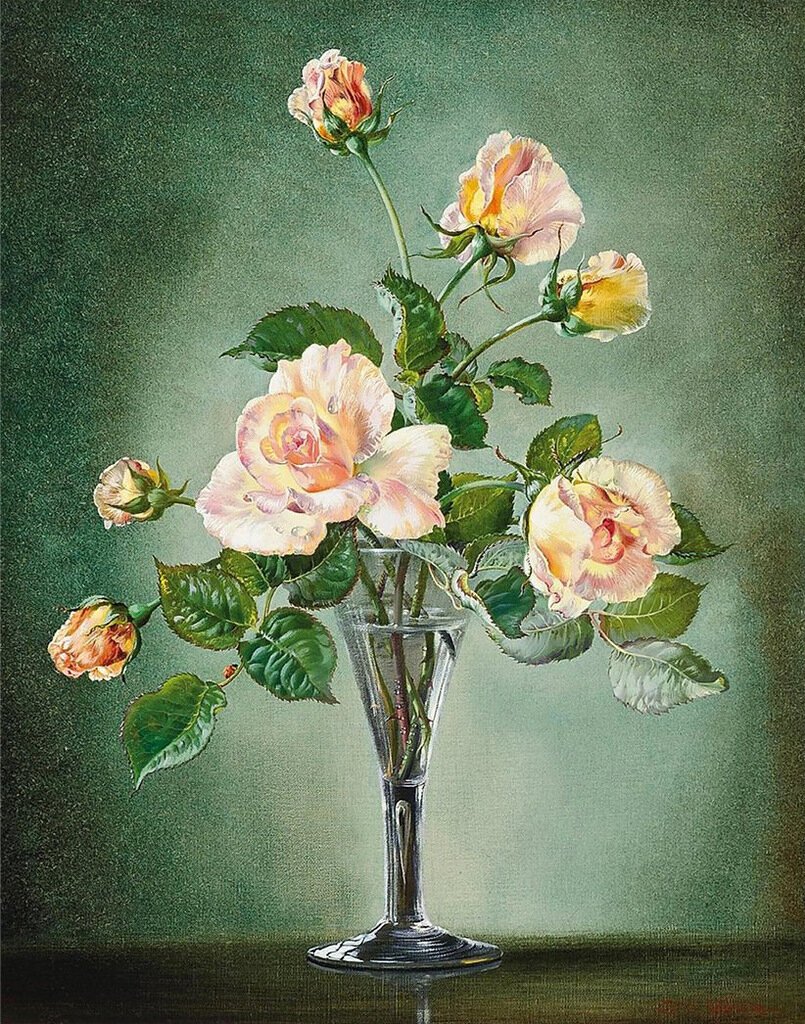 Сесил Кеннеди розы