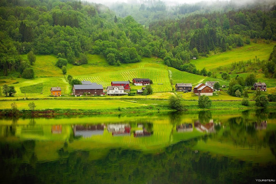 Деревня озеро лес Норвегия
