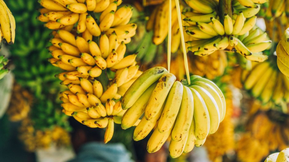 Банановые плантации