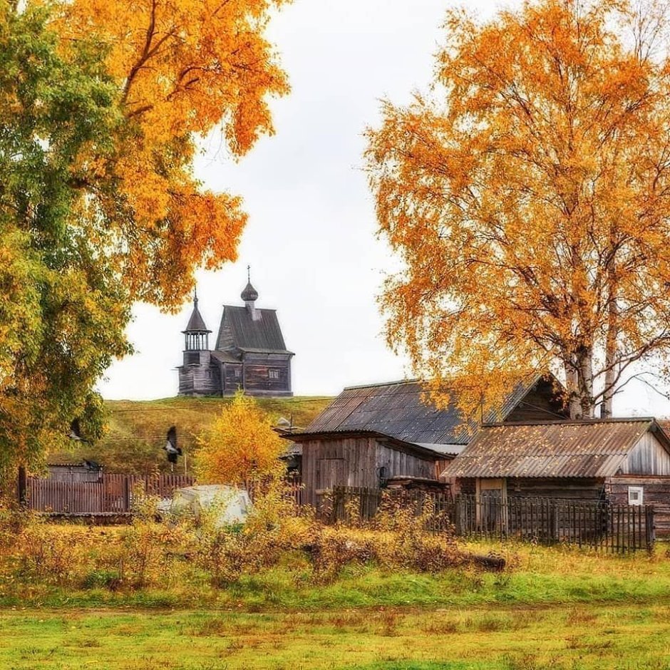 Архангельская область деревушка осень