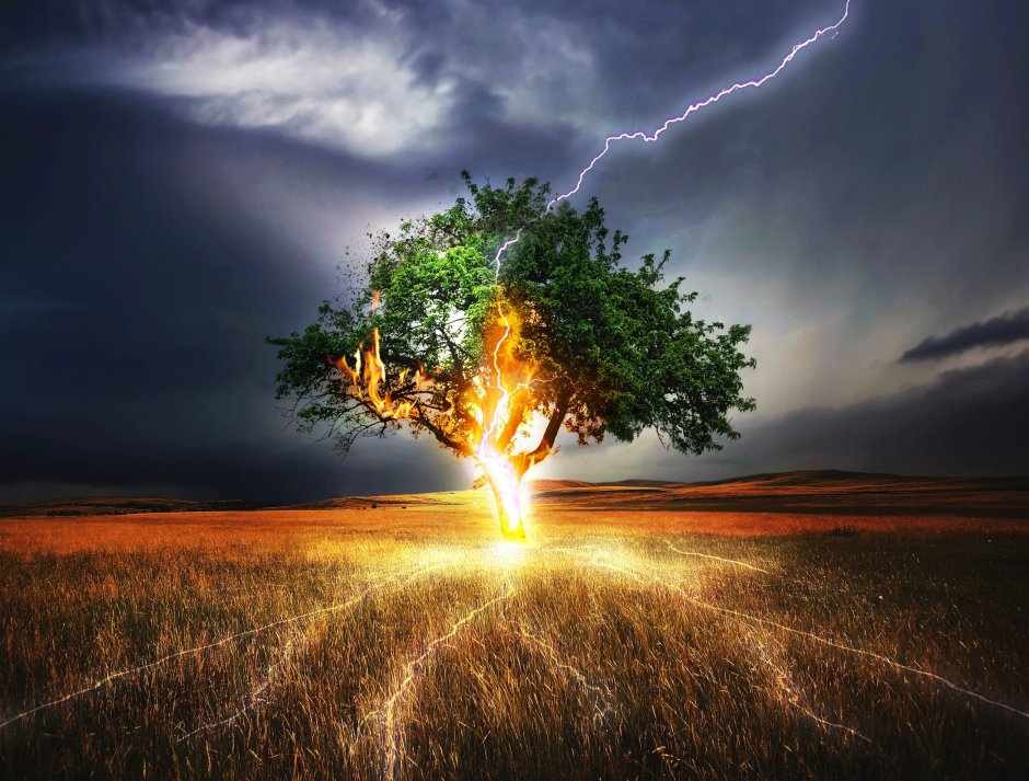 Молния в дерево