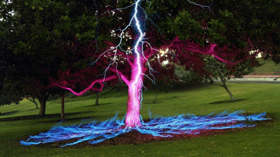 Попадание молнии в дерево фото