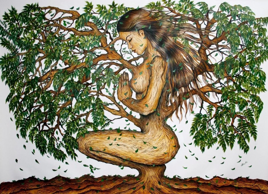 Дерево в виде женщины