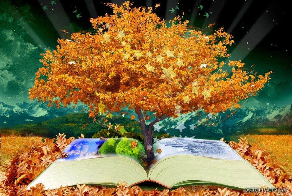 Книги на фоне леса осень
