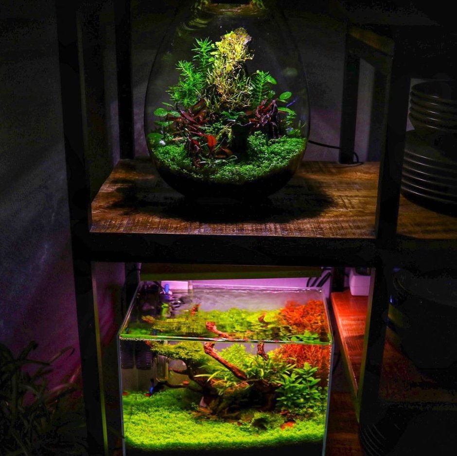 Нанокуб аквариум