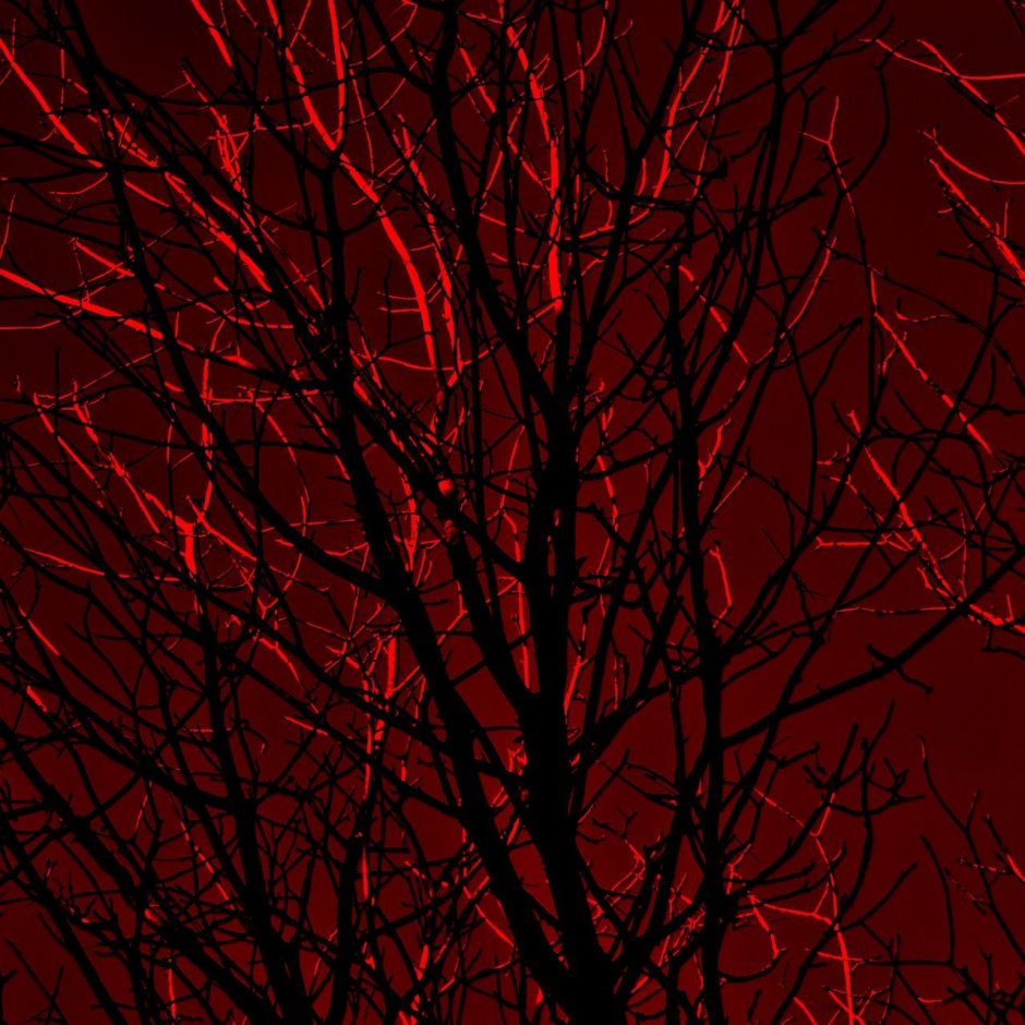 Красное дерево на сером фоне