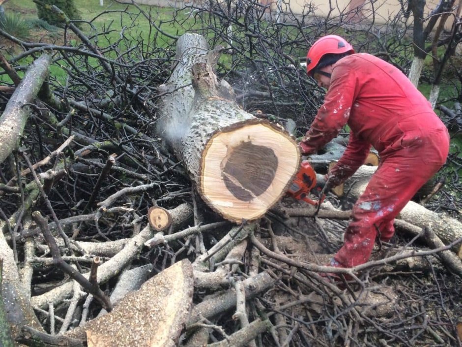 Среднеуральск вырубка деревьев