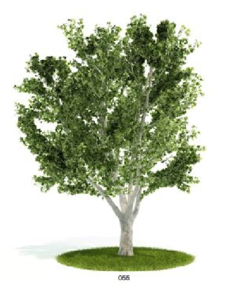 Деревья для моделирования