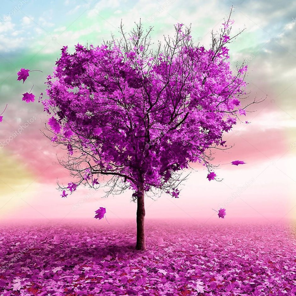 Красивые фиолетовые деревья