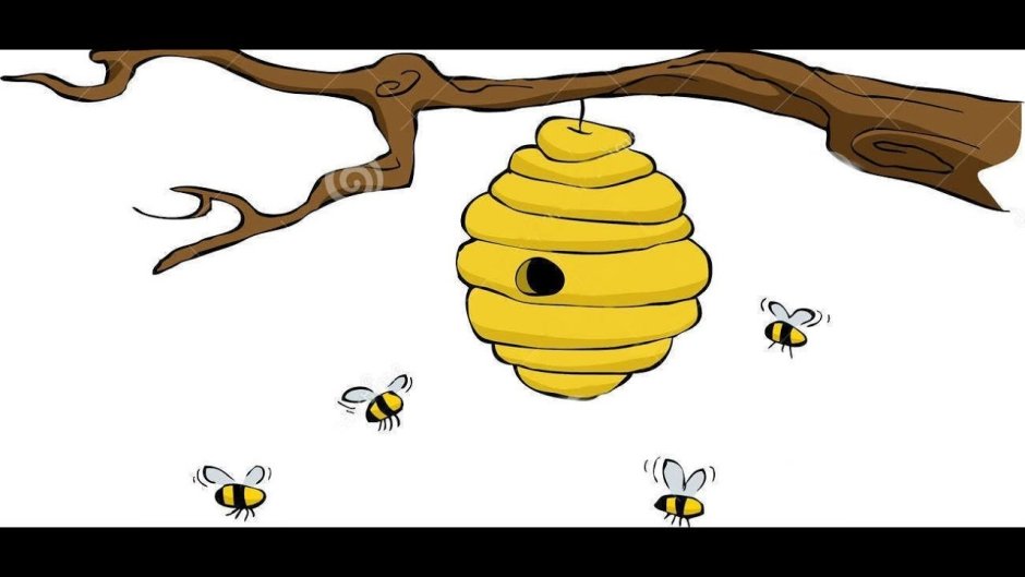 Пчела на прозрачном фоне