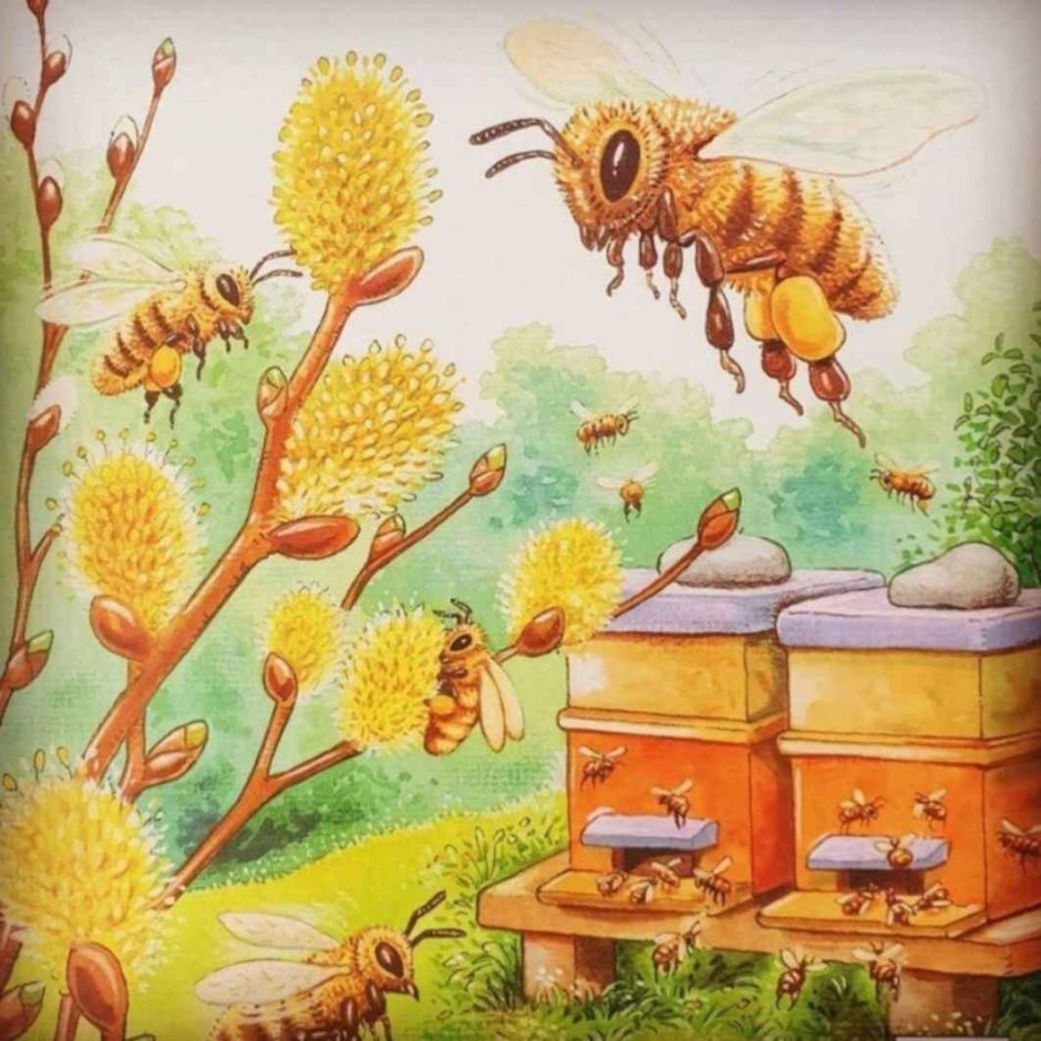 Пчелы для детского сада
