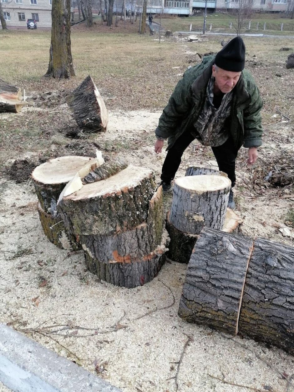 Срубили дерево в Барнауле 2022