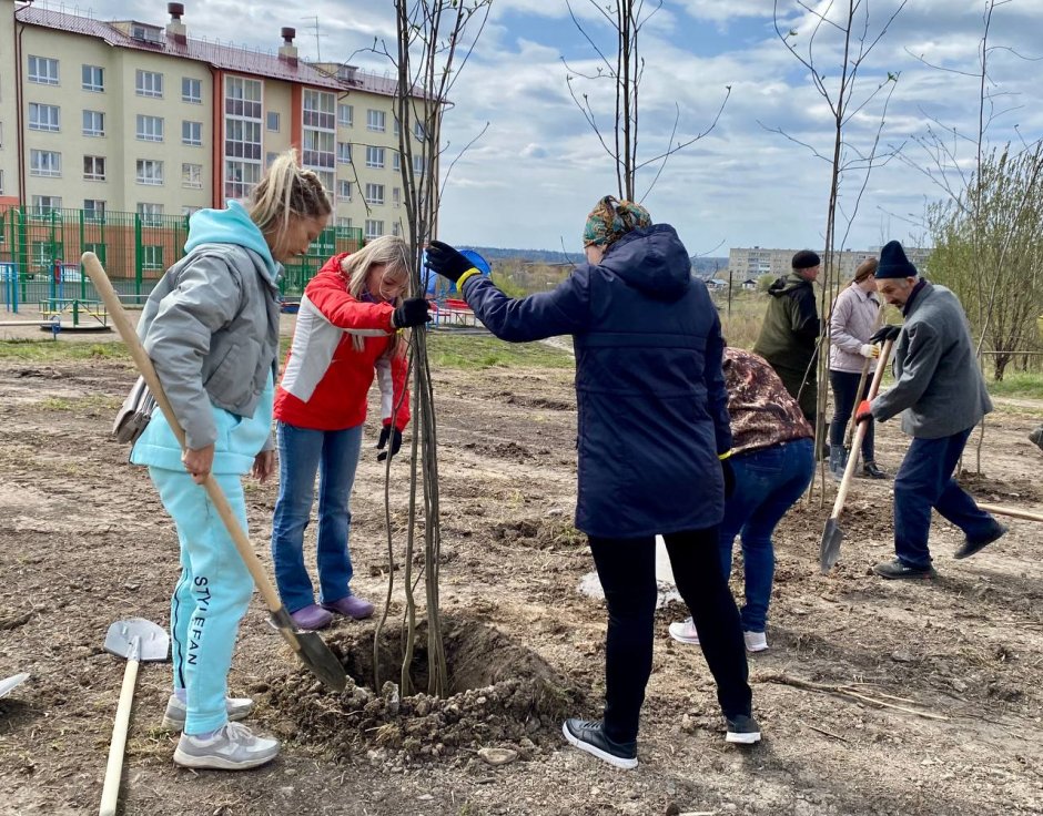 Губернатор Осипов сажает деревья