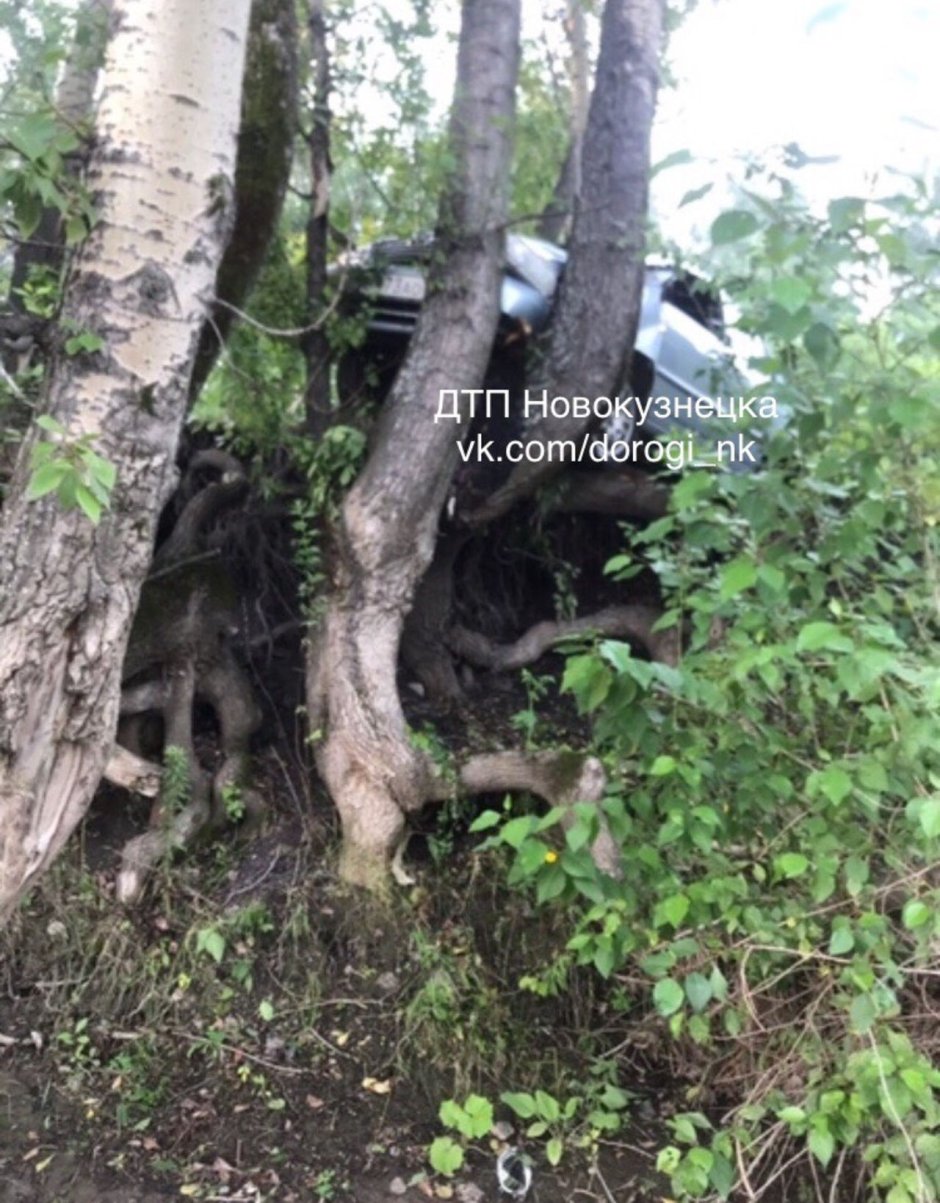 Сонник повиснуть на дереве после аварии