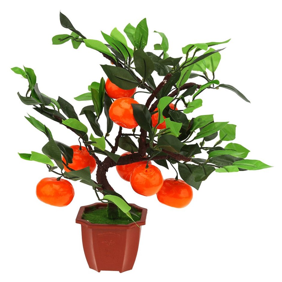 Мандарин оранж искусственное дерево