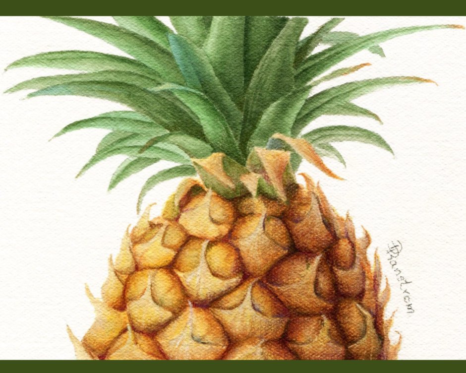 Pineapple Painting