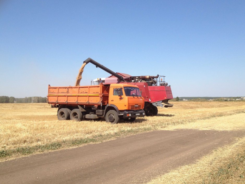 КАМАЗ 5320 уборка зерна