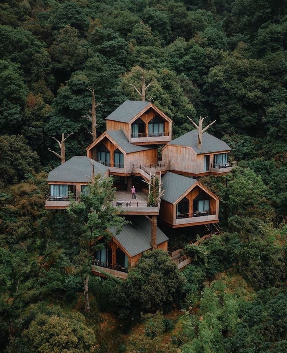Дом с деревьями в Китае