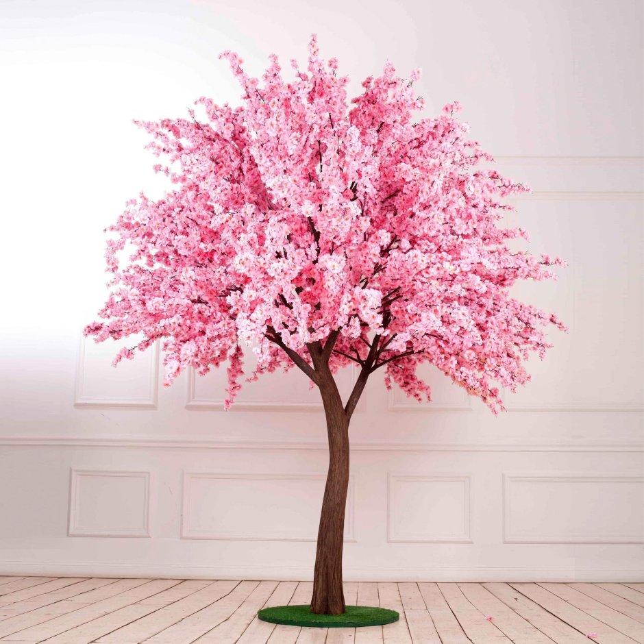 Sakura 3pes дерево