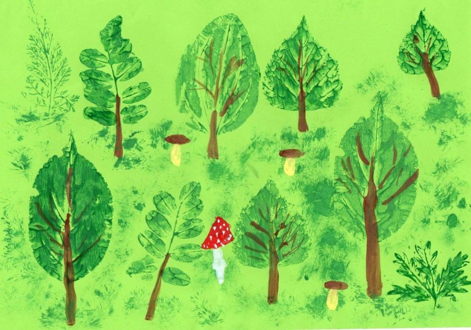 Рисование лес старшая группа