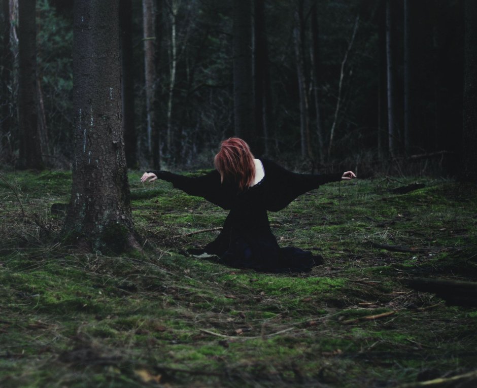 Ведьма в лесу