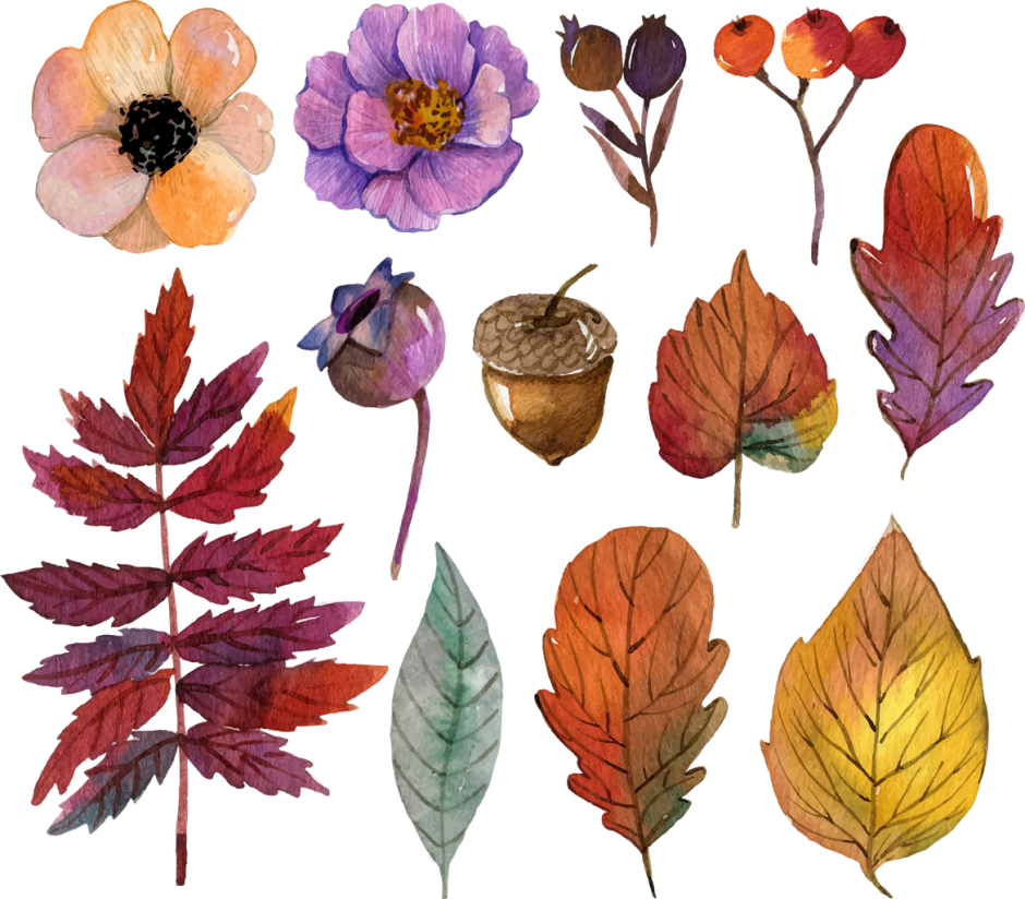Осенние листья акварель