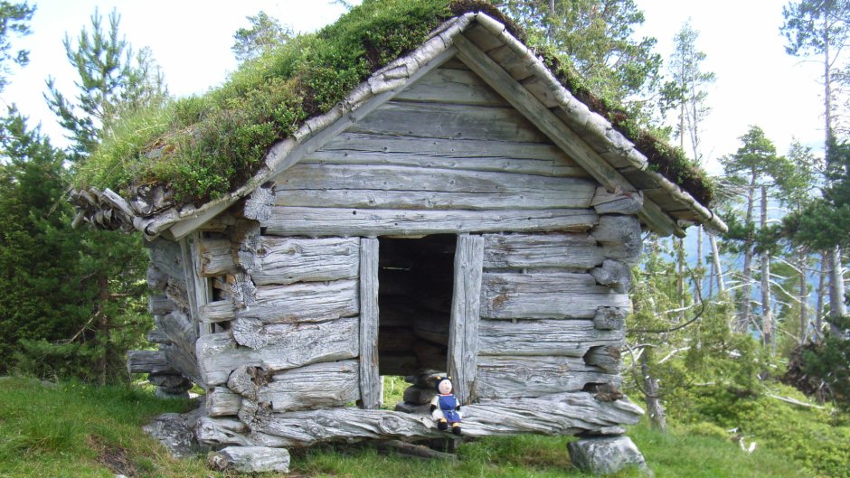 Традиционное жилище викингов