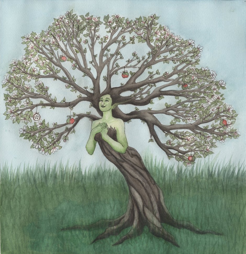 Девушка дерево