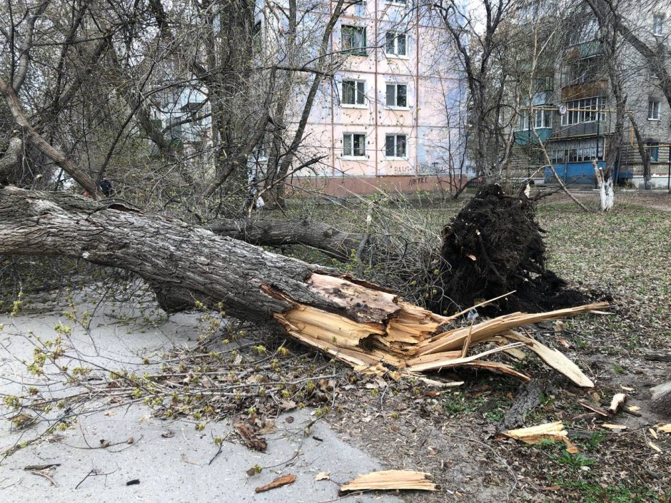 Последствия сильного ветра в Ульяновске