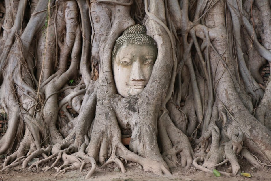 Голова статуи из дерева Буда