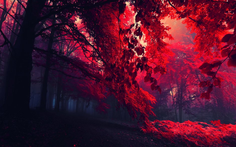 Красный лес Леа