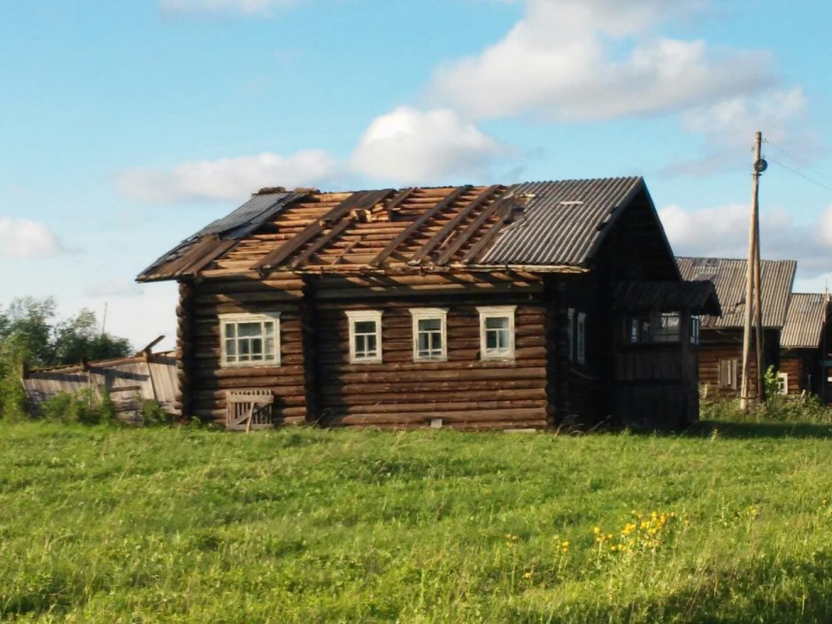 Деревня кони Княжпогостский район
