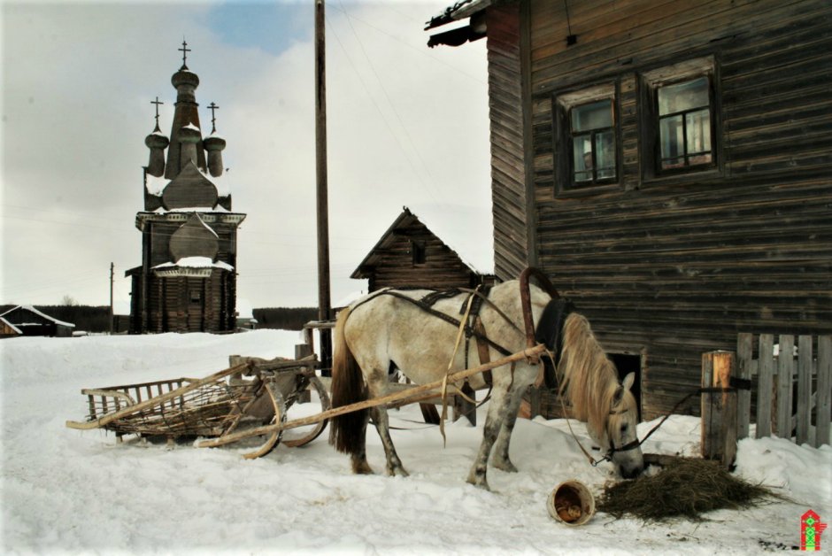 Деревня Кимжа Мезенского района