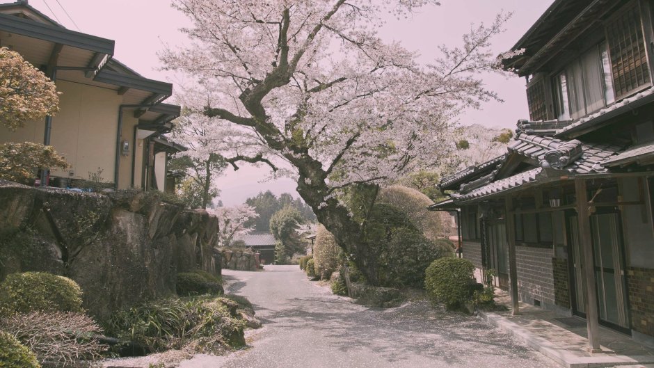 Япония Эстетика деревня деревня