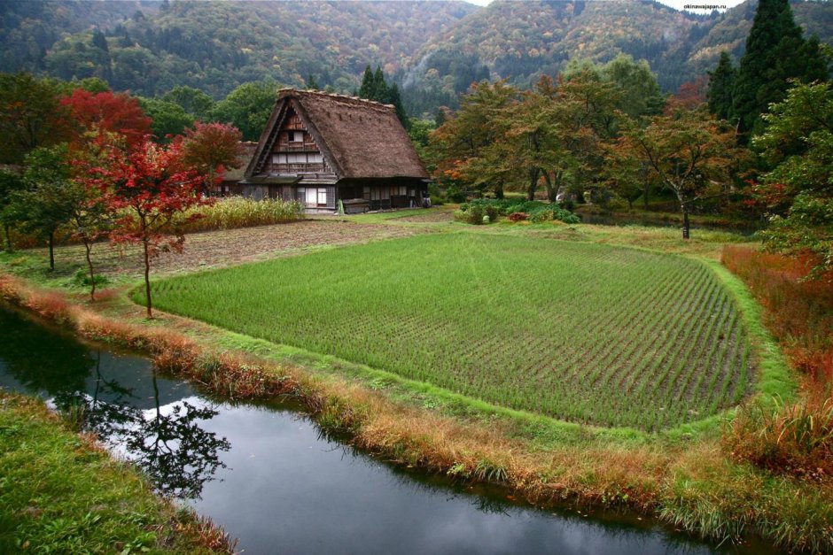 Историческая деревня Сиракава-го. Япония