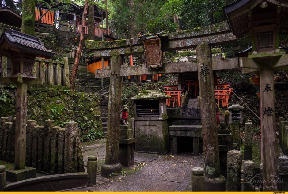 Храм синтоизма в Японии заброшенный