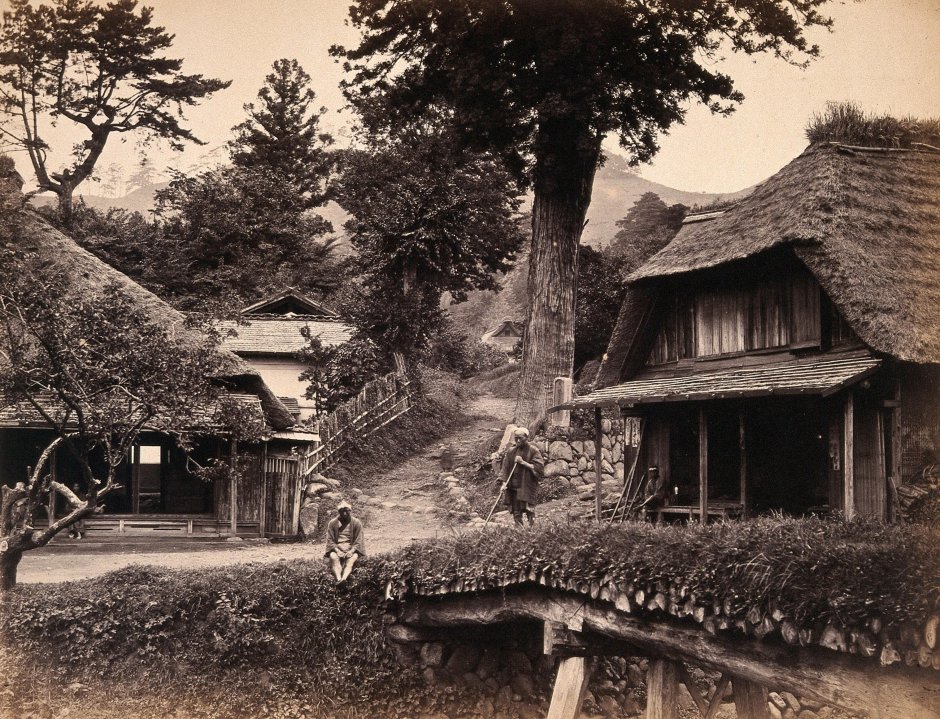 Китайская деревня 19 век