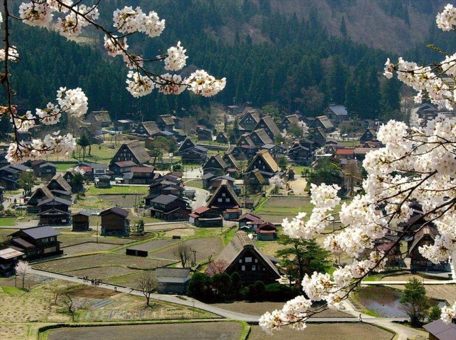 Деревня Гокаяма в Японии