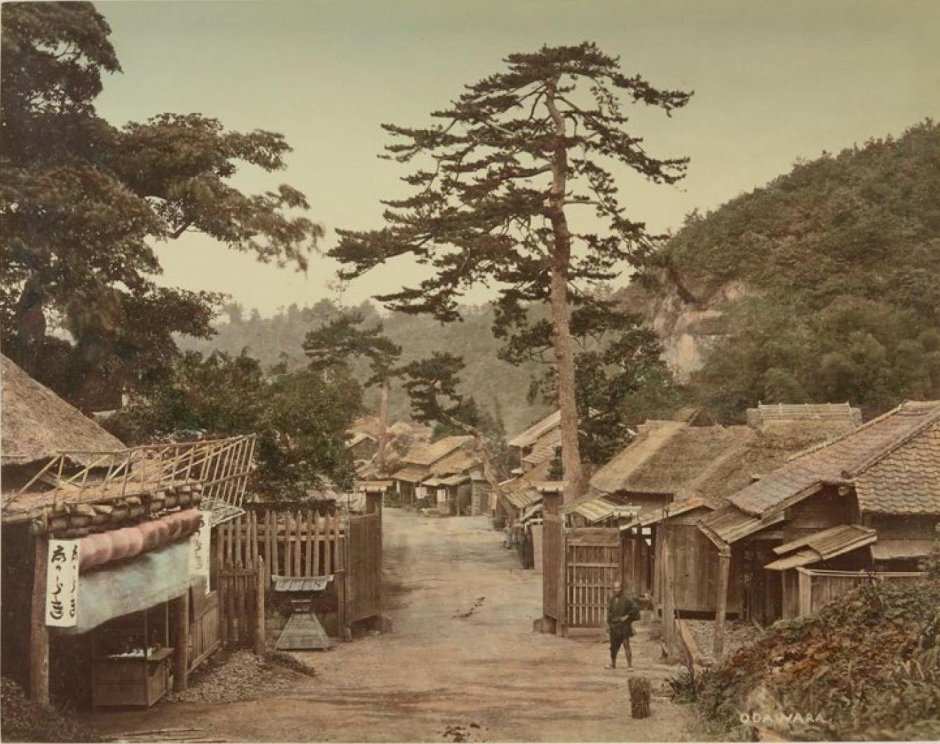 Город Эдо Япония 19 век