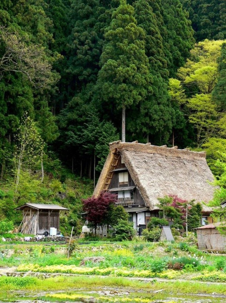 Япония Сельская местность