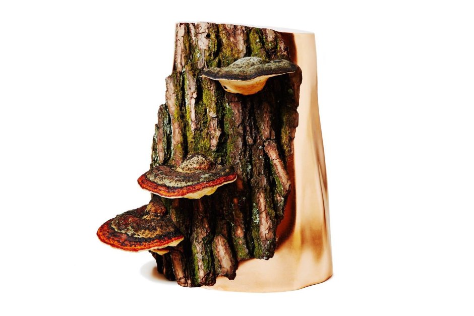 Скульптура грибы с глазами из древесины
