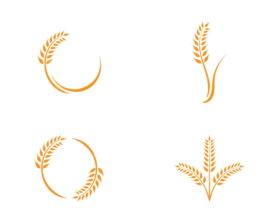 Логотип Колос пшеницы